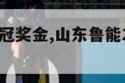 山东鲁能亚冠奖金,山东鲁能2021亚冠资格