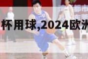 2024欧洲杯用球,2024欧洲杯球场巡礼