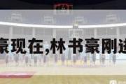 nba林书豪现在,林书豪刚进nba遭遇