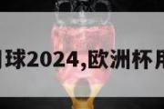 欧洲杯用球2024,欧洲杯用球2004