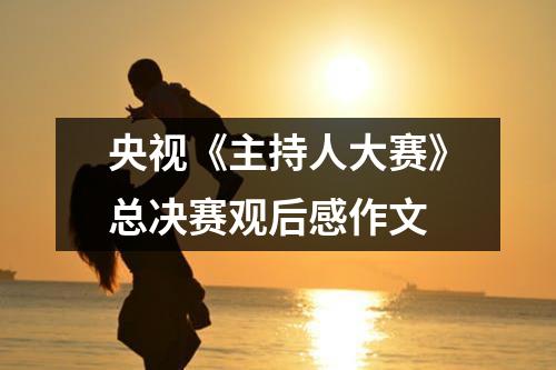 央视《主持人大赛》总决赛观后感作文