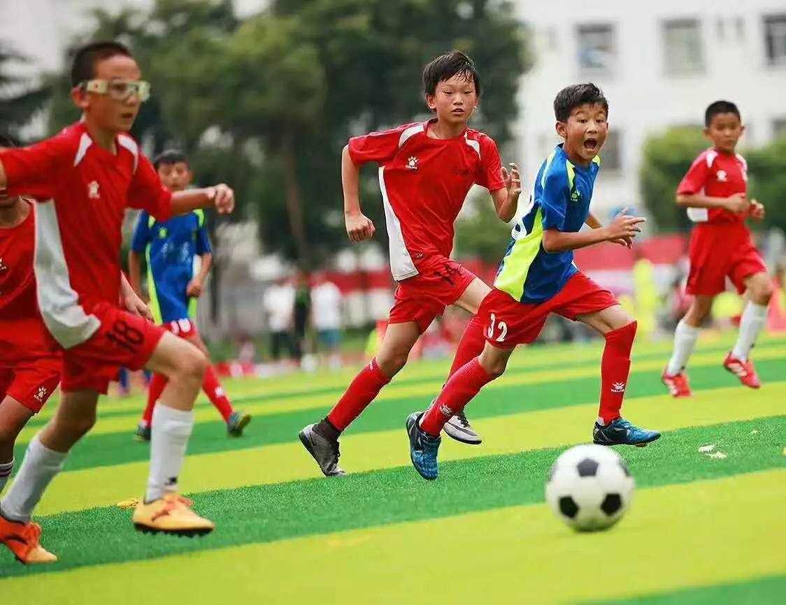 BBC英语启蒙足球实景动画片《Footy Pups》，绝对会是小球迷们的心头爱，可以边看节目边学足球技巧